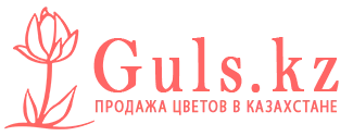 Шымкент